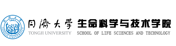 世界杯下单网站